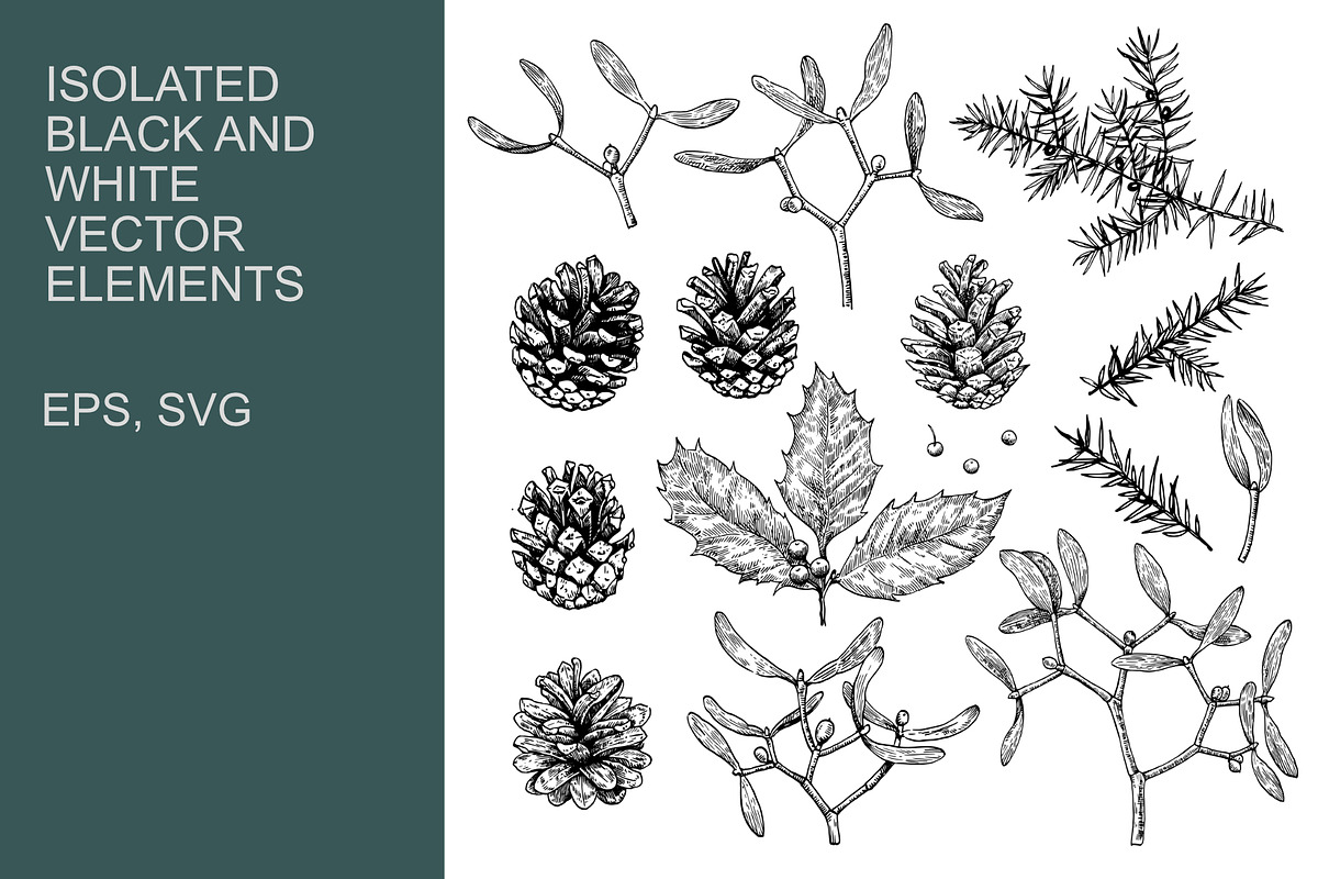 Winter botanical patterns, a Seasonal Illustration by Robusta (Photo 2 of 8)