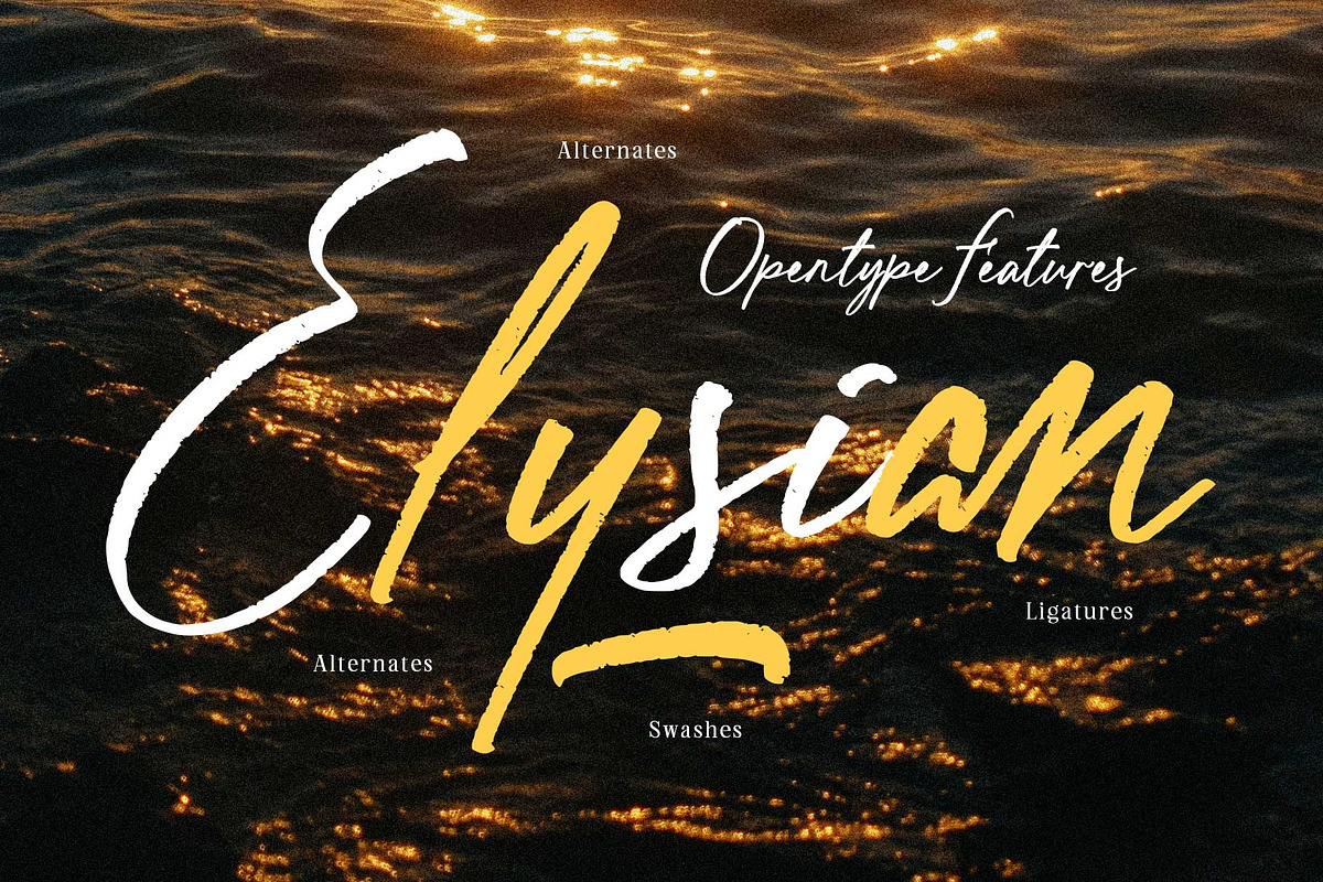 Ballegha - Beautiful Script, a Handwritten Font by Novitype (Photo 10 of 11)