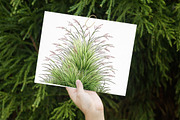 Watercolor Spring Grass Clipart, an Illustration by Libby Wishes (Thumbnail 5 of 7)