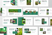 Cropland - Agriculture Keynote, a Presentation Template by MtvtdArt (Thumbnail 5 of 6)