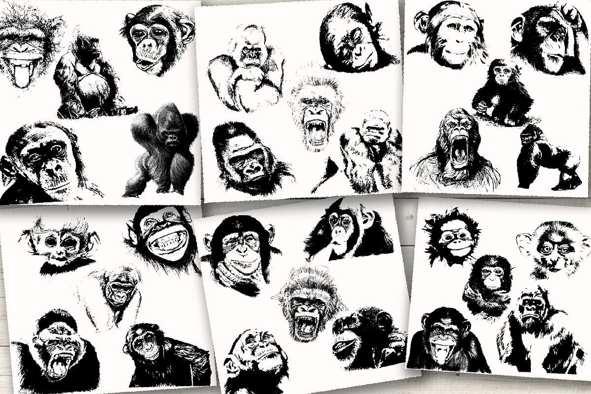 30 wild monkey silhouette vector, an Animal Illustration by AnastasiyaOleynik (Photo 6 of 6)