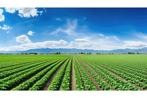 harvest vegetable crop farm ai, an Animal Photo by pikepicture
