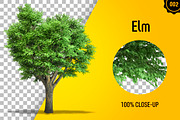 CUT OUT TREES - 60 PCS BUNDLE, a Packaging Mockup by 3DSTORE (Thumbnail 3 of 63)