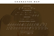 Narque Holden Gold Font Duo, a Serif Font by Storytype Studio (Thumbnail 14 of 15)