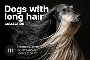 Dogs with long hair. 111 images, an Animal Photo by Handmadefont (Thumbnail 1 of 15)