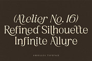 Ardellea, a Serif Font by din-studio.com (Thumbnail 5 of 16)
