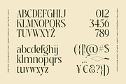 Fibonacci | Serif With Italic Font, a Serif Font by The_Type (Thumbnail 11 of 12)