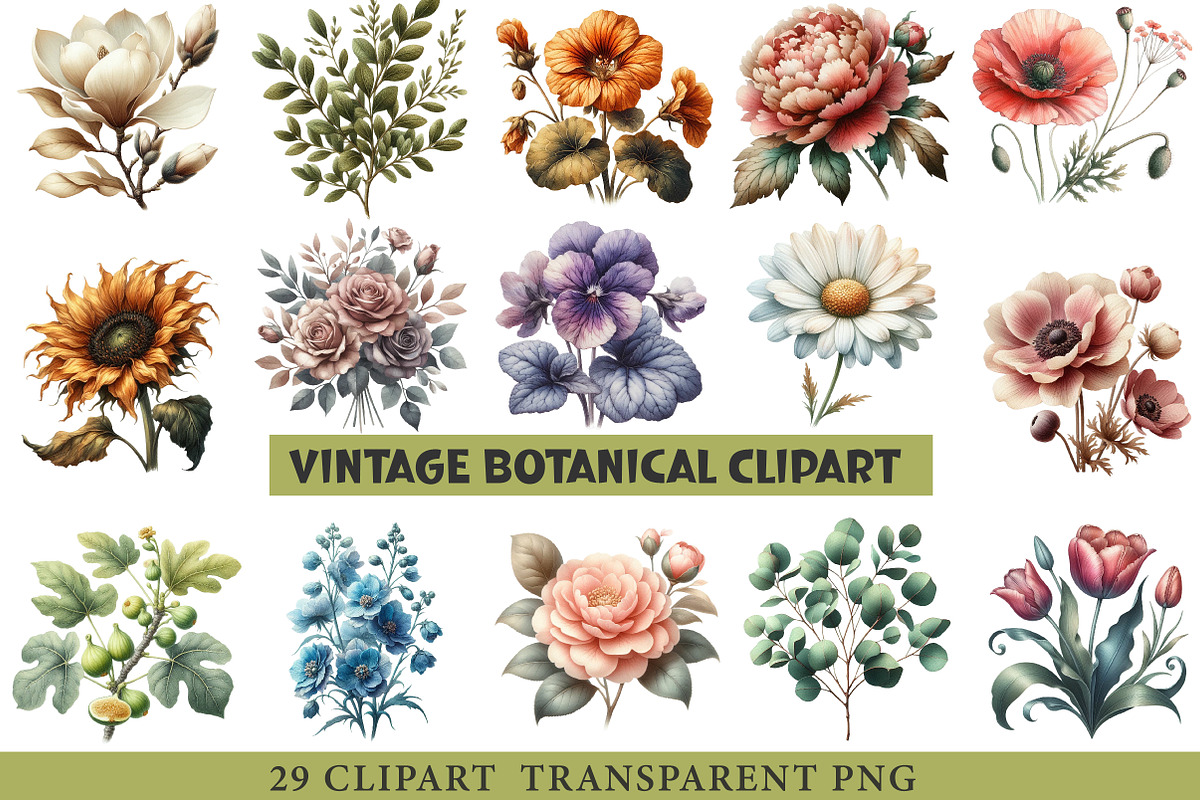 Vintage Botanical Clipart, an Illustration by cherrydesign (Photo 1 of 3)