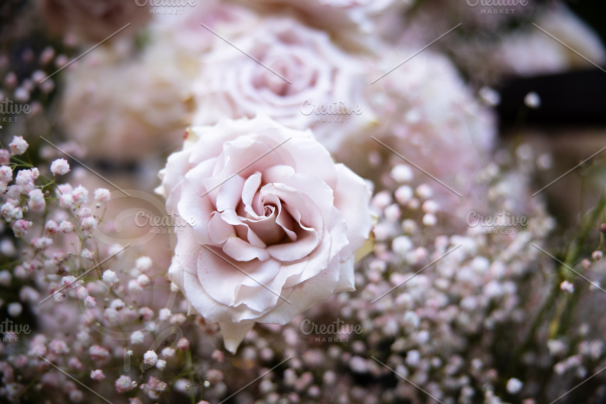 A Garden of Roses | Wedding, Events, a Nature Photo by Farewell (Photo 16 of 41)