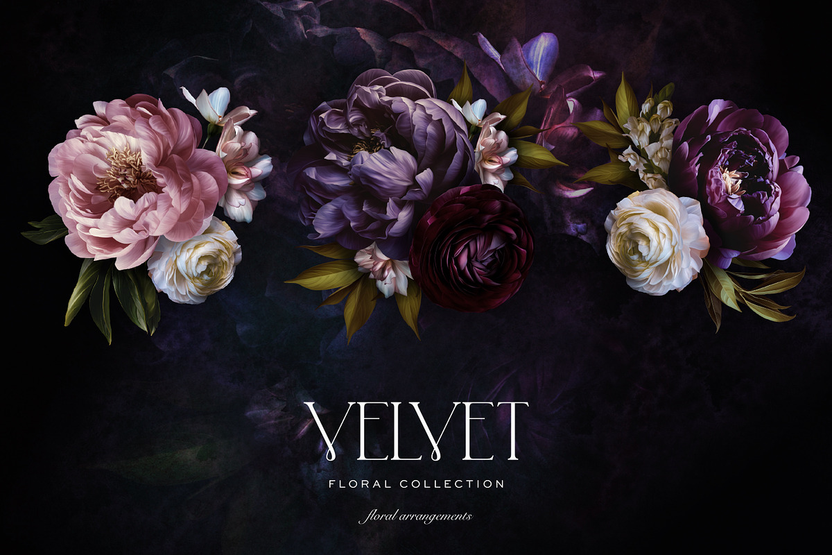 Velvet Peony Moody Floral Graphics, an Object Illustration by Eclectic Anthology (Photo 5 of 16)