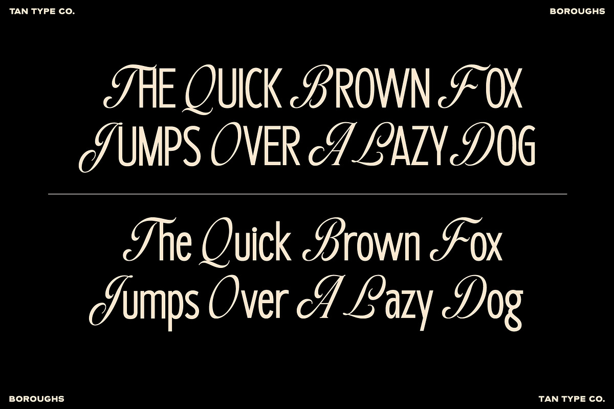 TAN - BOROUGHS, a Serif Font by TanType (Photo 9 of 10)