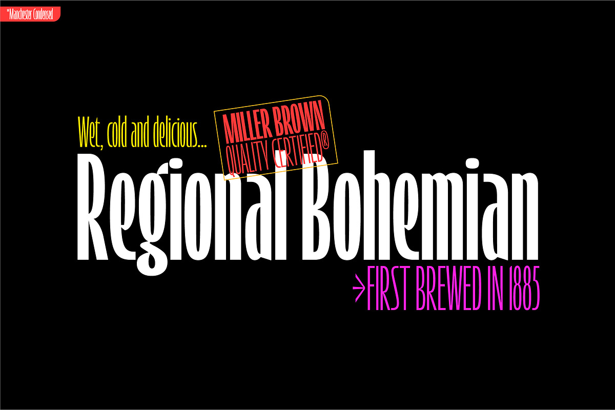 Manchester Condensed Variable, a Sans Serif Font by Vastago Studio (Photo 5 of 17)