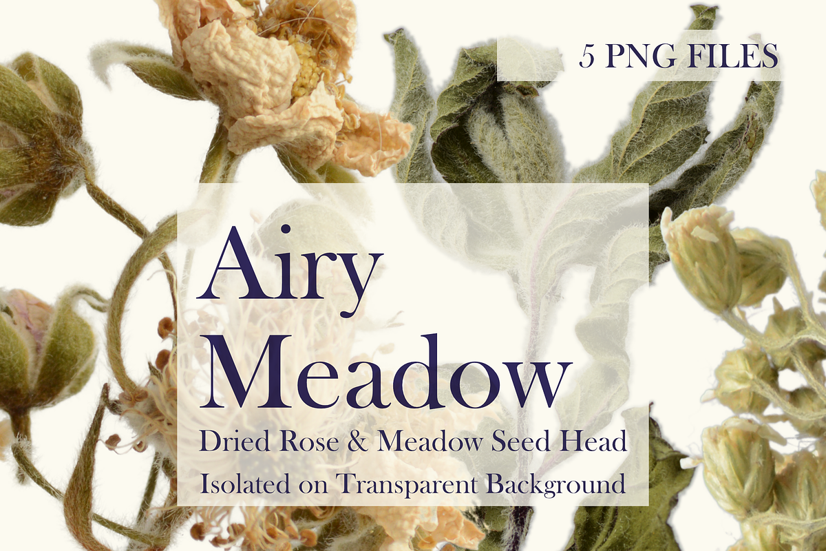 Airy Meadow – Dried Rose & Meadow Se, an Object Graphic by Aga Silva (Photo 4 of 7)