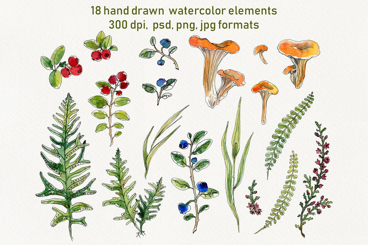 Watercolor berries and herbs clipart, a Pattern Graphic by Dina Guiter (Photo 7 of 8)