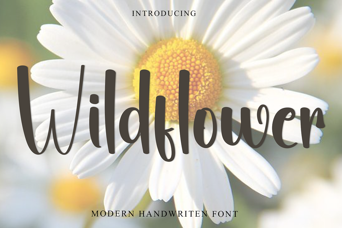 Wildflower, a Handwritten Font by InermediaSTUDIO (Photo 1 of 8)