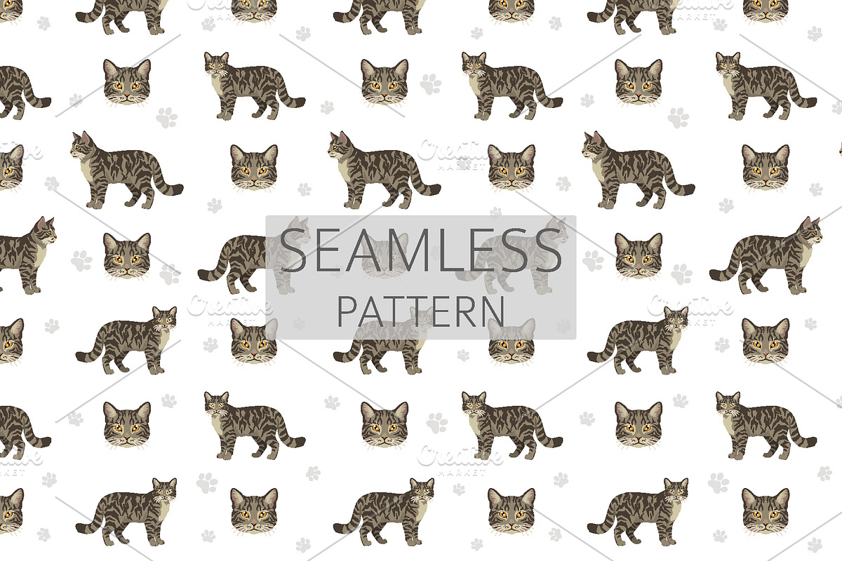 European wild cats clipart, an Animal Illustration by pet design shop (Photo 9 of 10)