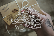 50 Peony Flower Vector Illustrations, an Illustration by Inkwell Supply Co (Thumbnail 14 of 20)