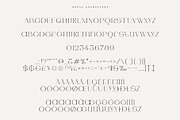Artemis – Semi-serif Unique Typeface, a Serif Font by Studio Aurora (Thumbnail 6 of 11)