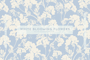 White Blooming Flowers