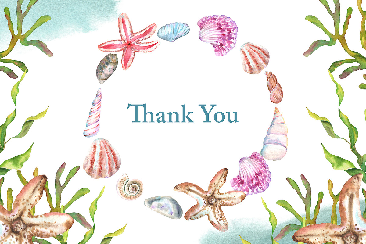 Watercolor Sea Shells Illustrations, a Work Illustration by TanataDesign (Photo 10 of 10)