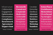 Bruchey Serif, a Serif Font by Fargun Studio (Thumbnail 6 of 15)