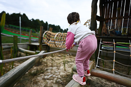 Little girl climbing on a rope ladder in a park, back view., a Person Photo by AS photostudio