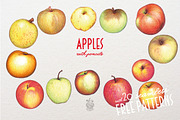 Apples With Colour Pencils + Bonus, a Food Illustration by Andrea Tardivo (Thumbnail 1 of 15)