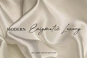 De Lionist - Handwritten Script Font, a Handwritten Font by Myn Type (Thumbnail 2 of 15)