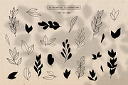 Natura | Modern Graphics Set, a Background Graphic by Studio Fevrier (Thumbnail 6 of 11)
