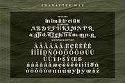 Elinga Classy Serif Font, a Script Font by Storytype Studio (Thumbnail 7 of 8)