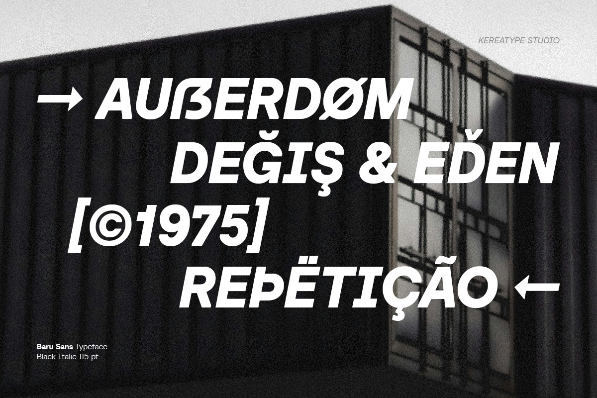 Baru Sans Geometric Font Family, a Sans Serif Font by Kereatype (Photo 8 of 19)