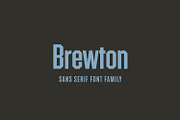 Brewton — Vintage Sans Display Font, a Sans Serif Font by Inlay Studio (Thumbnail 1 of 8)