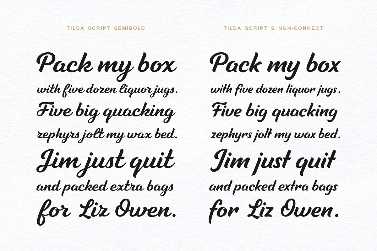 Tilda Script — stylish font family preview 2