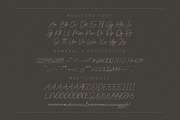 Mealtone Signature Script Font, a Script Font by Typebae (Thumbnail 8 of 8)