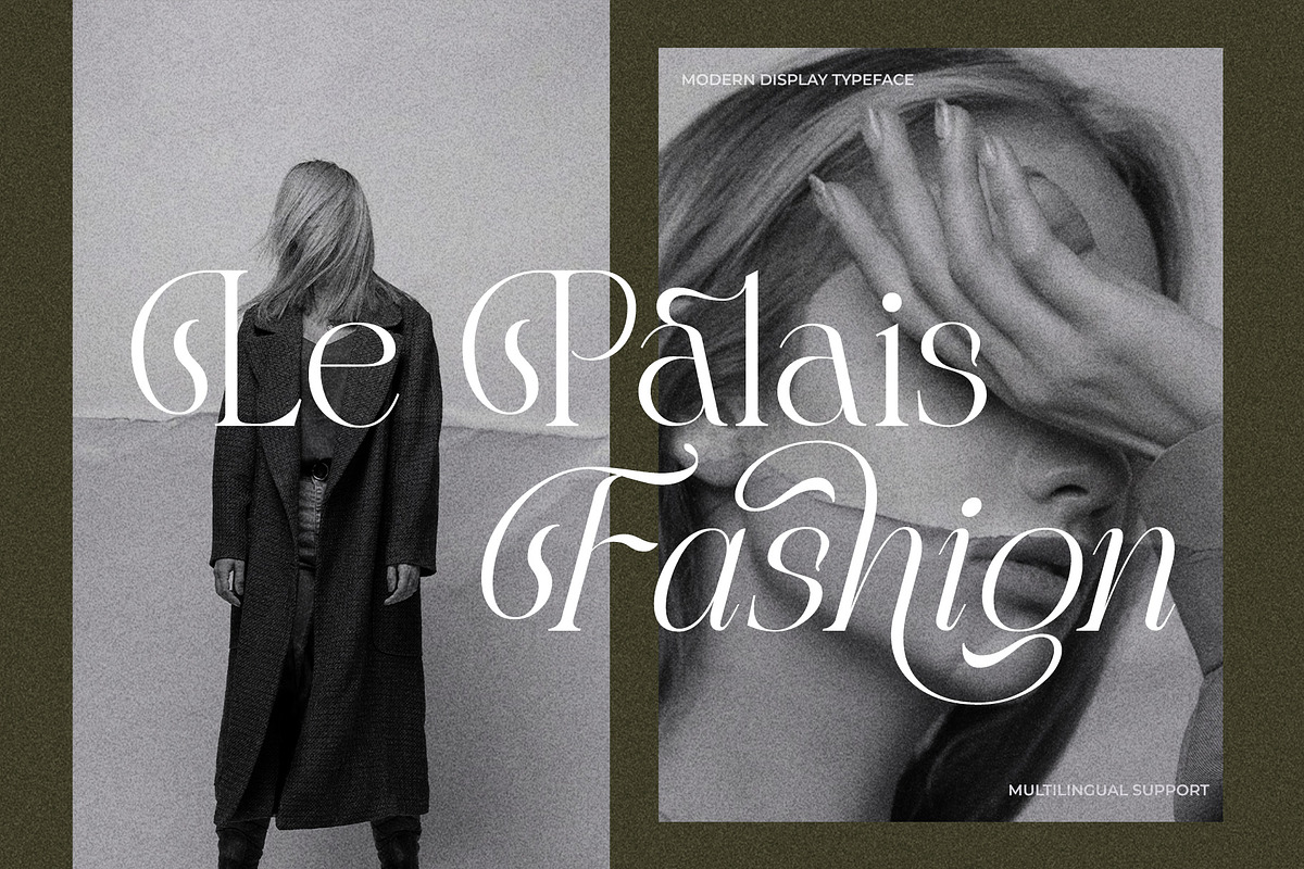 LT Rogile - Modern Serif Typeface, a Serif Font by Luminotype (Photo 3 of 20)