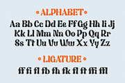 Make Your Boon - Unique Retro Serif, a Serif Font by Myn Type (Thumbnail 16 of 17)