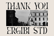 BRAMS - Display Serif (UPDATED!), a Serif Font by ErgibiStudio (Thumbnail 11 of 11)