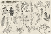 Forest Botany Line Art + Procreate, a Brush Add-On by Skliarova (Thumbnail 3 of 6)