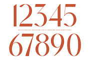 Muteds Starlit Modern Serif Font, a Sans Serif Font by timelesstype.co (Thumbnail 14 of 20)