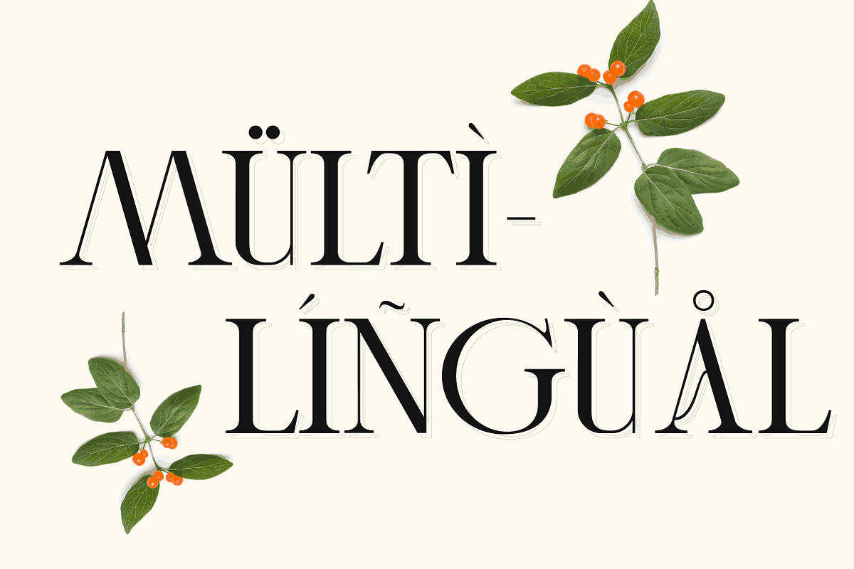 Cheqa a Luxury & Elegant Serif, a Serif Font by Lettertype Studio (Photo 13 of 15)