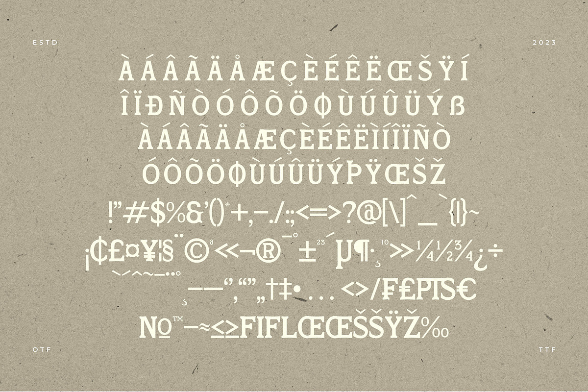 Skinner Morgan A Organic Typeface, a Serif Font by Storytype Studio (Photo 12 of 18)