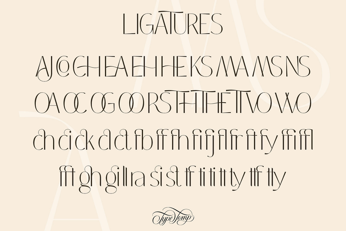 Coastine - Chic Modern Font, a Sans Serif Font by Typetemp Studio (Photo 26 of 26)