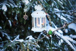Christmas lantern with candle, a Holiday Photo by Kate S
