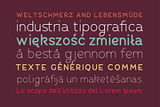 Fibon Sans Font Family, a Sans Serif Font by Hederae Type Foundry (Thumbnail 4 of 5)