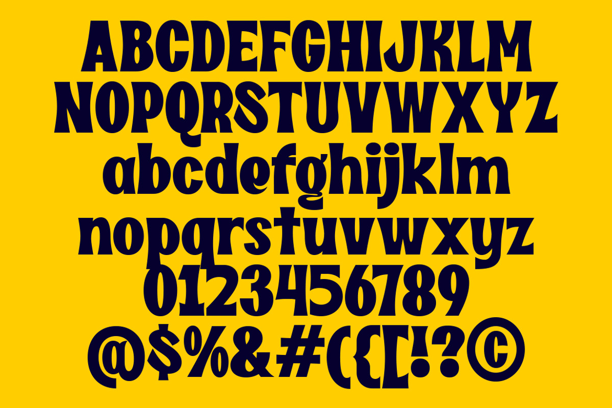 Dirty Novel Fancy Font, a Serif Font by GroovyFontCo (Photo 8 of 8)