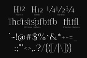 The Pixel Editorial – Modern Serif, a Sans Serif Font by Lettertype Studio (Thumbnail 10 of 15)