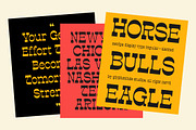 Estripe - A Reversed Contrast Font, a Slab Serif Font by Glyphminds Studios (Thumbnail 2 of 10)