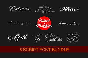 8 SCRIPT FONT BUNDLE