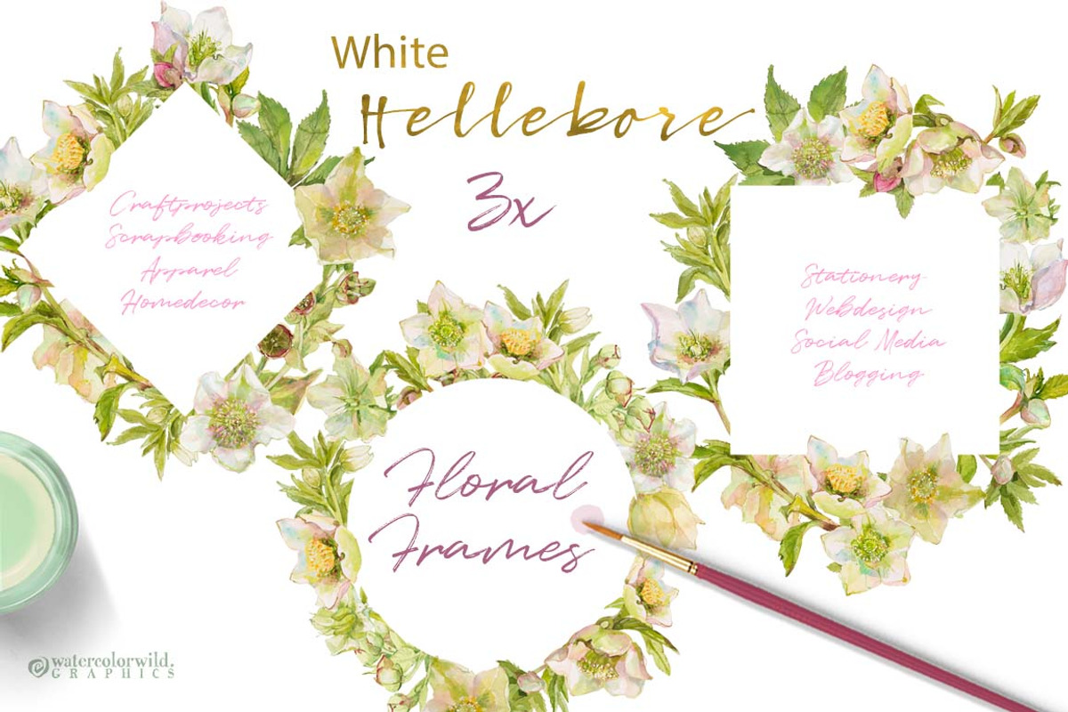 White Hellebore-Floral Clipart, an Illustration by watercolorwild.graphics (Photo 4 of 7)