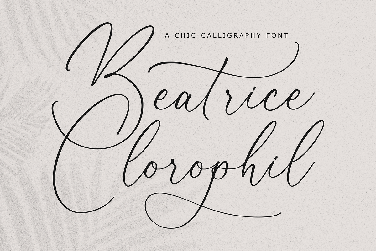 Beatrice Clorophil Chic Calligraphy, a Script Font by Storytype Studio (Photo 1 of 15)